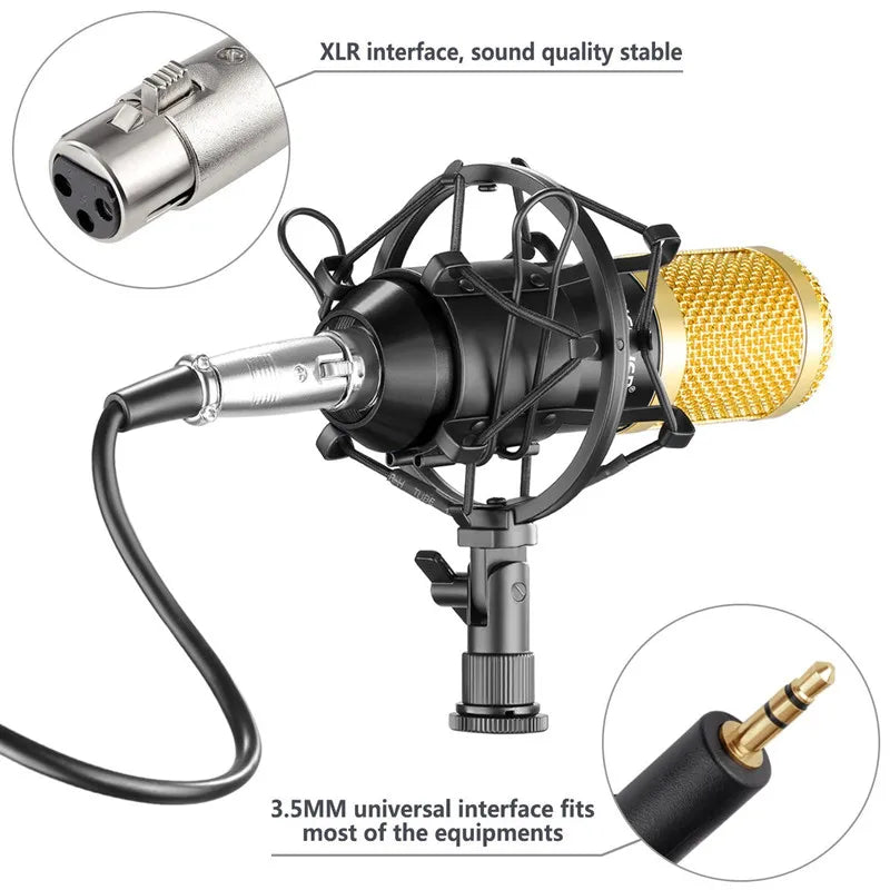 Professional Condenser Microphone Kit - What The Funk