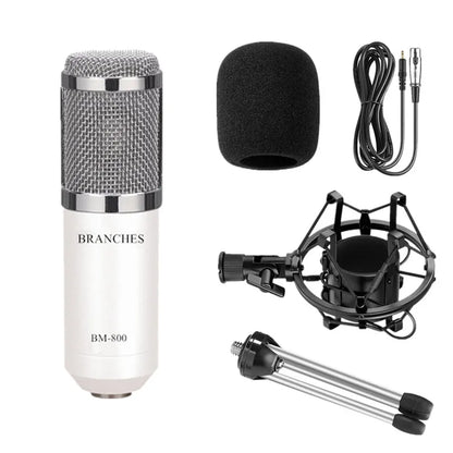 Professional Condenser Microphone Kit - What The Funk