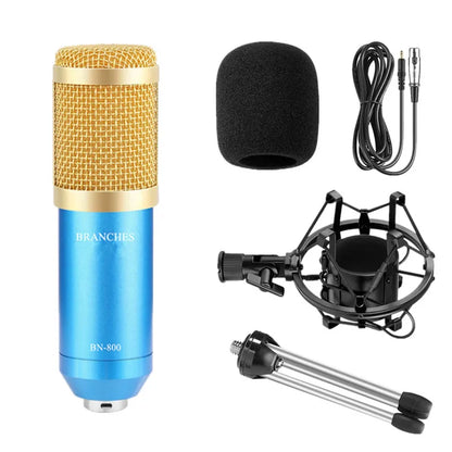 Professional Condenser Microphone Kit - What The Funk