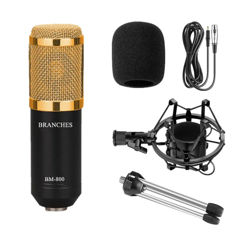 Professional Condenser Microphone Kit - What The Funk